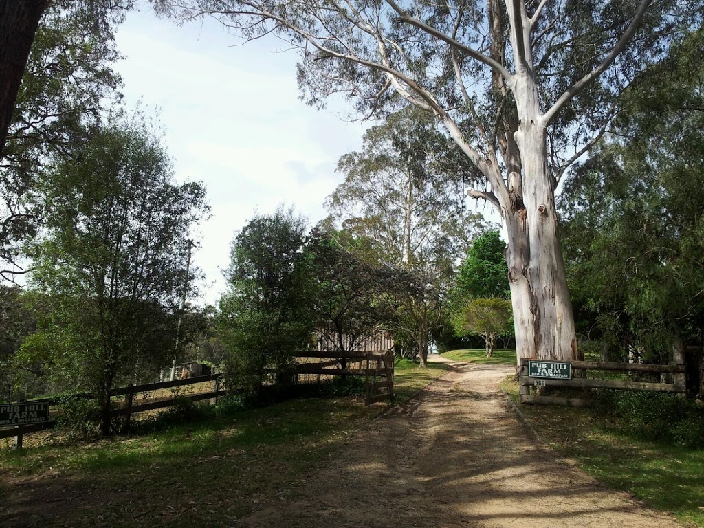 Pub Hill Farm B&B | 566 Wagonga Scenic Dr, Narooma NSW 2546, Australia | Phone: (02) 4476 3177