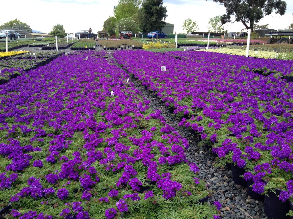 Plant Growers Australia Pty Ltd | 3 Harris Rd, Wonga Park VIC 3115, Australia | Phone: (03) 9722 1444