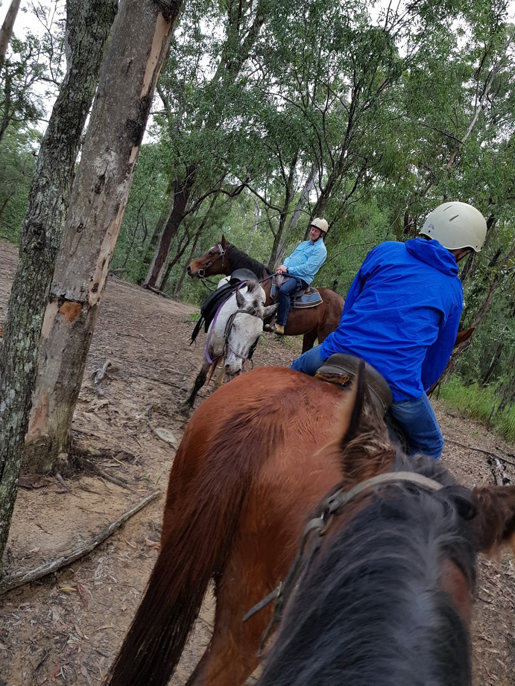 Mooloolah Valley Riding Centre | travel agency | 101/103 King Rd, Mooloolah Valley QLD 4553, Australia | 0408224668 OR +61 408 224 668
