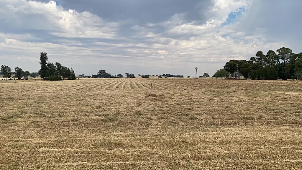 Saxa Field Services | Saxa Rd, Maryvale NSW 2820, Australia | Phone: 0457 098 182
