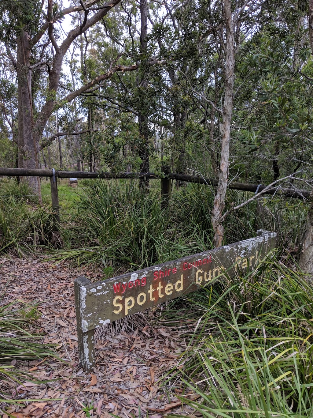 Spotted Gum Reserve | park | 4 Camden Way, Watanobbi NSW 2259, Australia
