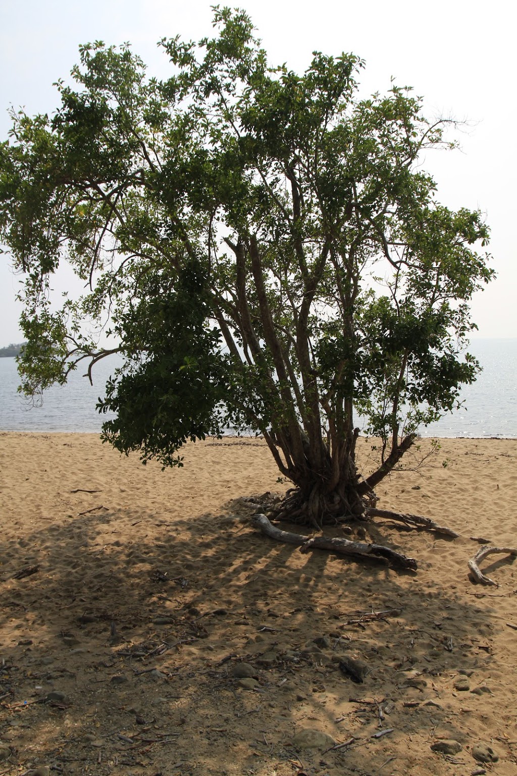 Skull Knob Conservation Park | St Helens Beach QLD 4798, Australia