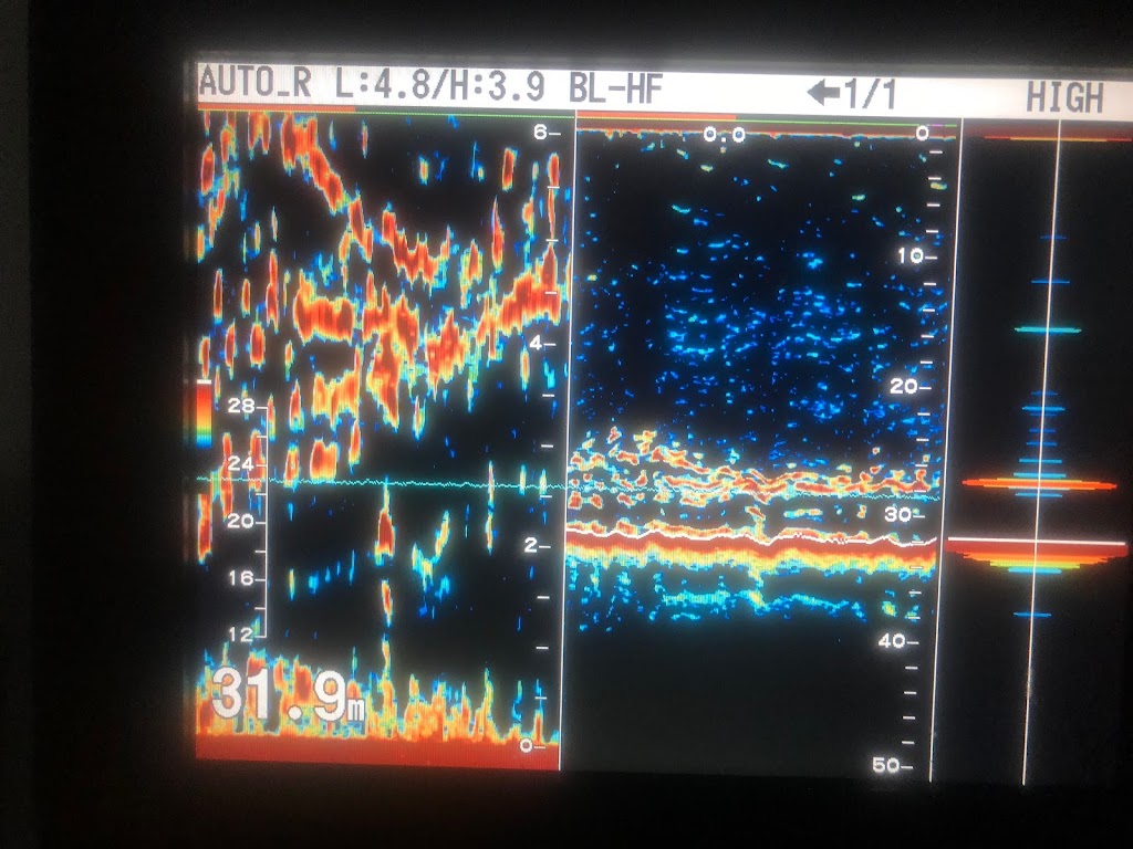 Double Threat Charters Yeppoon | 1 Waterline Way, Rosslyn QLD 4703, Australia | Phone: 0447 210 099