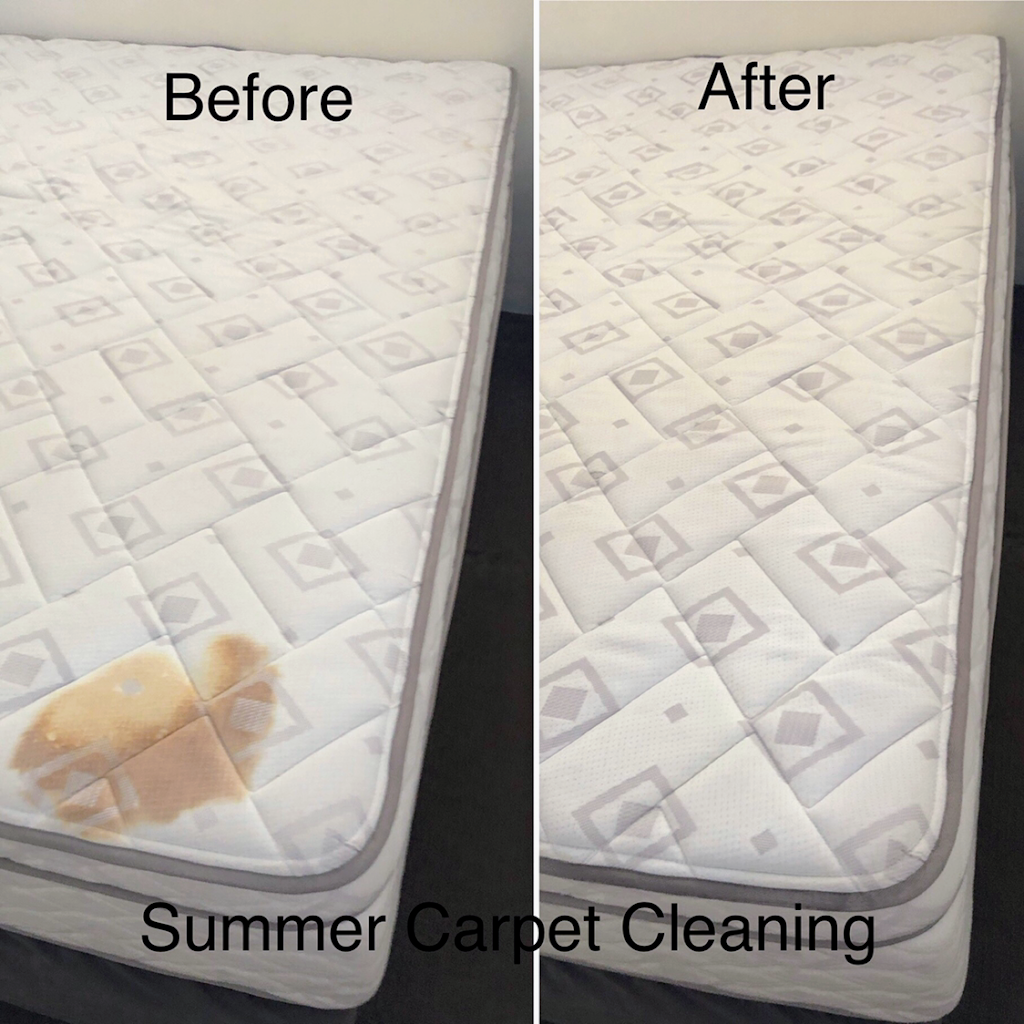Summer Carpet Cleaning | 21 Innovation Pkwy, Birtinya QLD 4575, Australia | Phone: 0419 779 828