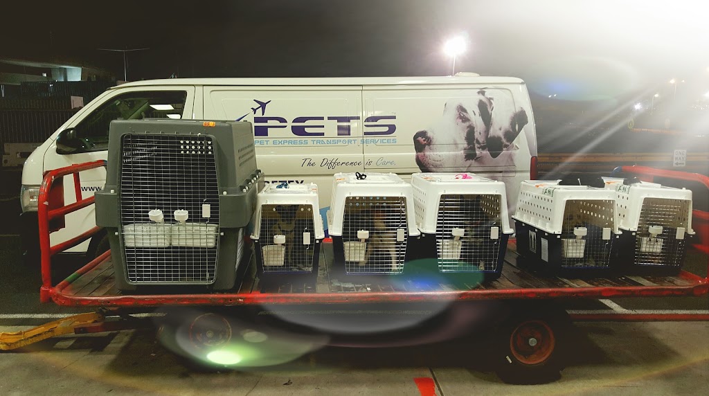 Pet Express Transport Services (PETS) | 7/189B S Centre Rd, Tullamarine VIC 3043, Australia | Phone: 1300 073 839