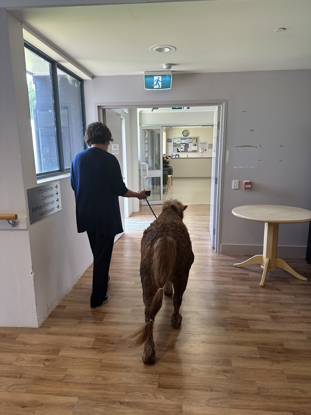 Aplus Assist Toowoomba | 18 King St, Kingsthorpe QLD 4400, Australia | Phone: 0491 801 851