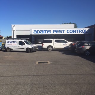 Adams Pest Control - Adelaide | home goods store | 6 Leane Ave, Adelaide SA 5009, Australia | 0882978000 OR +61 8 8297 8000