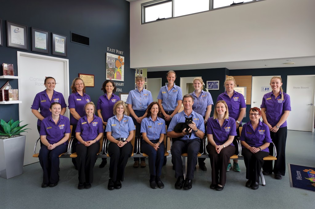 East Port Veterinary Hospital 57 Gordon St, Port Macquarie NSW 2444