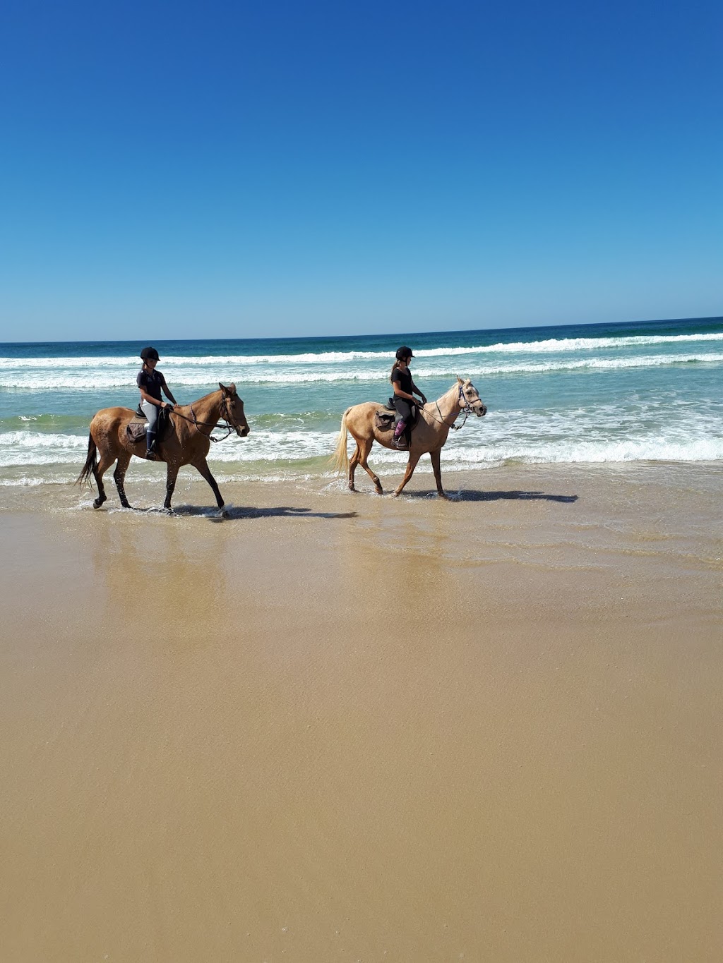 Pegasus Park Equestrian Centre | travel agency | Old Mining Road, Lennox Head NSW 2478, Australia | 0266871446 OR +61 2 6687 1446