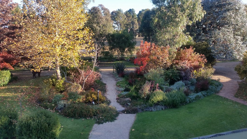 GLENHOPE ALPACAS | 59 Redgum Ln, Armidale NSW 2350, Australia | Phone: 0422 969 310