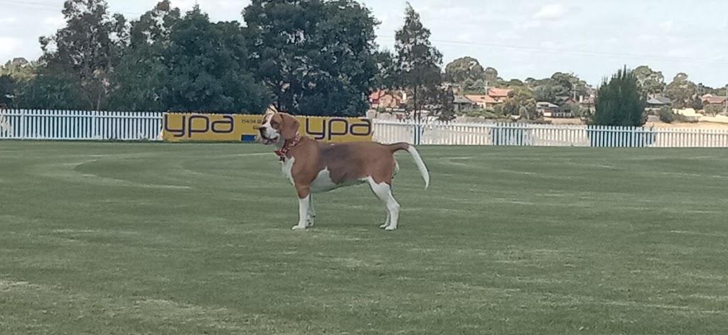 Gladstone Park Cricket Club | 206 Carrick Dr, Gladstone Park VIC 3043, Australia | Phone: 0403 140 439