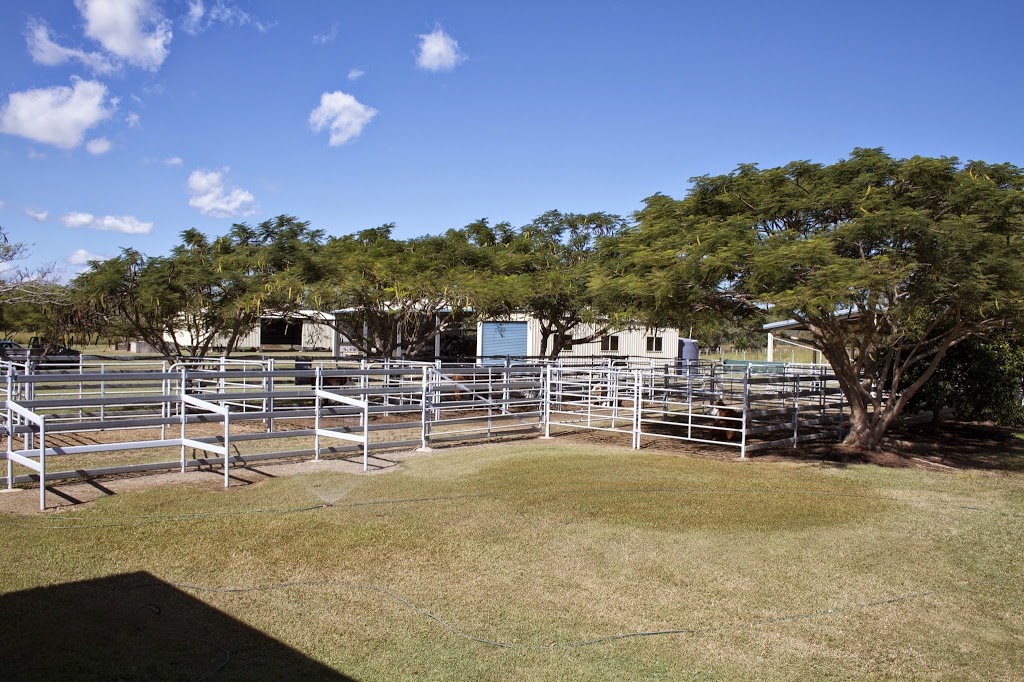 Beef Breeding Services | food | 25 Yeppoon Rd, Parkhurst QLD 4701, Australia | 0749364110 OR +61 7 4936 4110