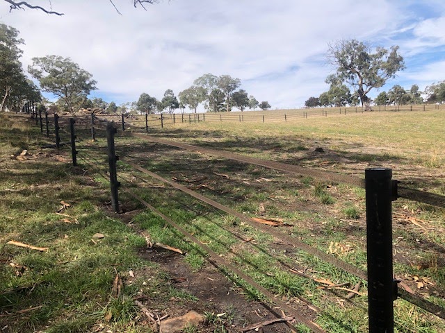 StockGuard Electric Fencing | 208 S Branch Rd, Maryvale QLD 4370, Australia | Phone: 0402 088 866