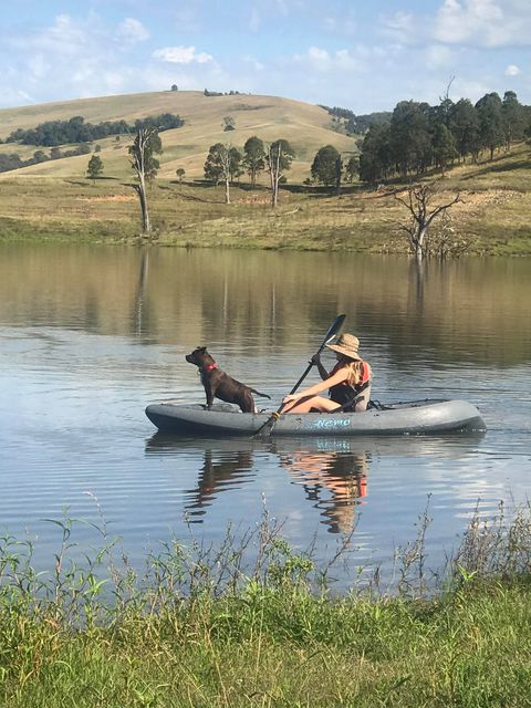 Lake St. Clair | campground | 1719 Carrowbrook Rd, St Clair NSW 2330, Australia