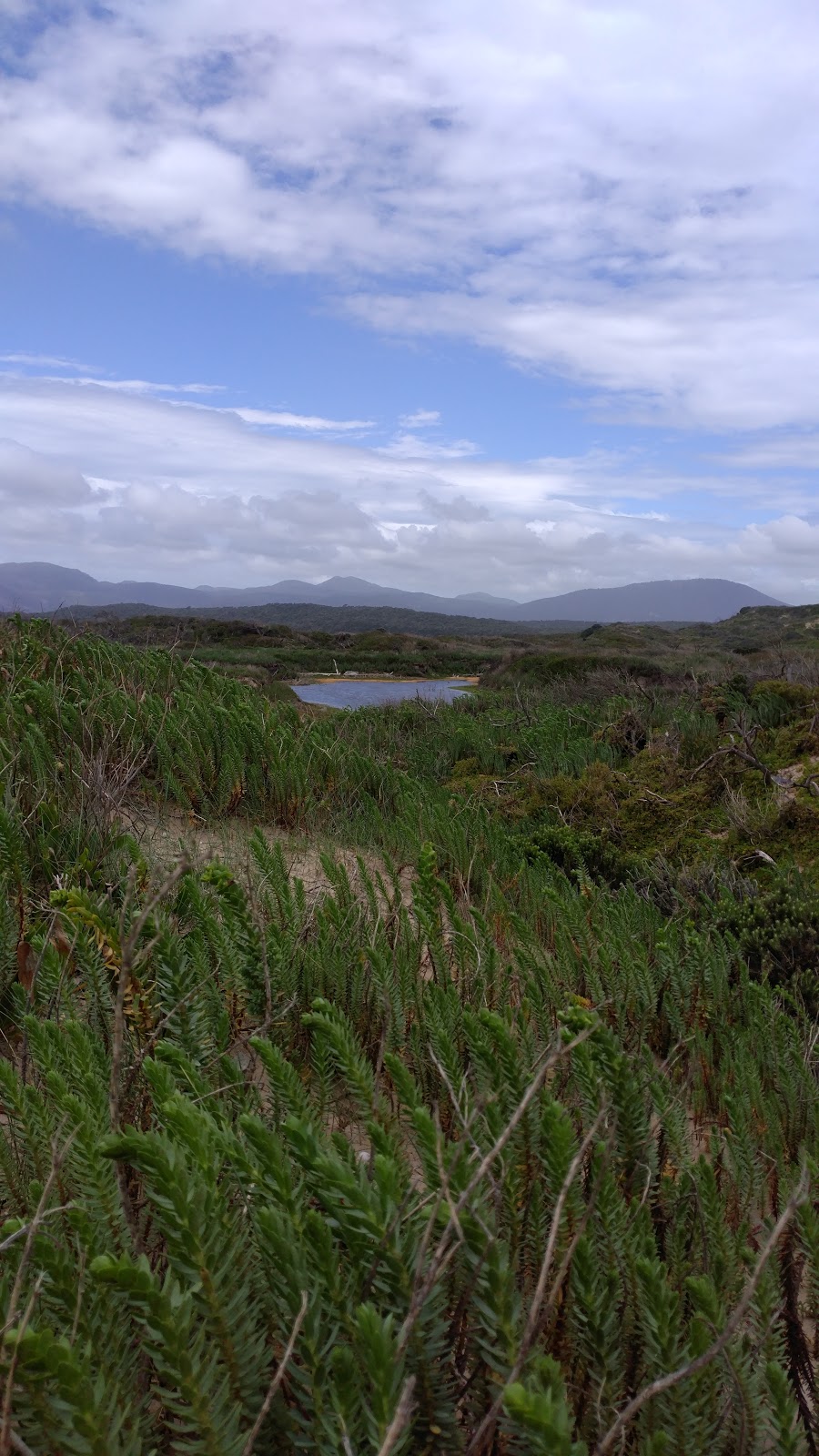 Cotters Lake Carpark. | Wilsons Promontory VIC 3960, Australia | Phone: 13 19 63