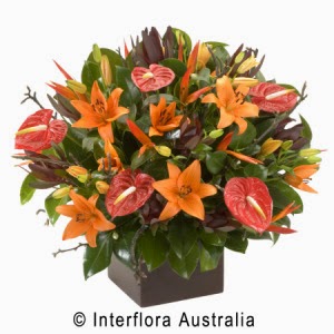 Brandon Park Florist | 81/580 Springvale Rd, Wheelers Hill VIC 3150, Australia | Phone: (03) 9561 5030