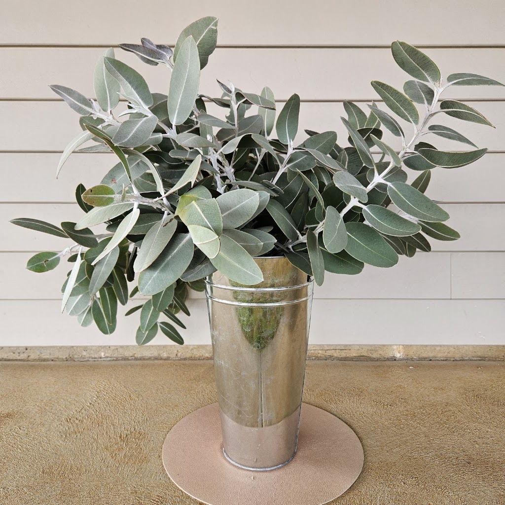 Magpie Flower Co | 100 Magpie Cres, Mannum SA 5238, Australia | Phone: 0402 068 430
