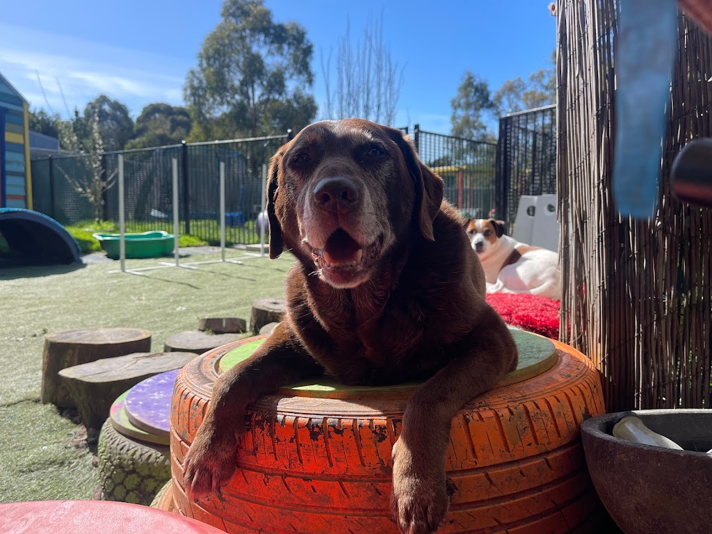 That Dog Place | 580 Bells Rd, Smythes Creek VIC 3351, Australia | Phone: 0407 334 136