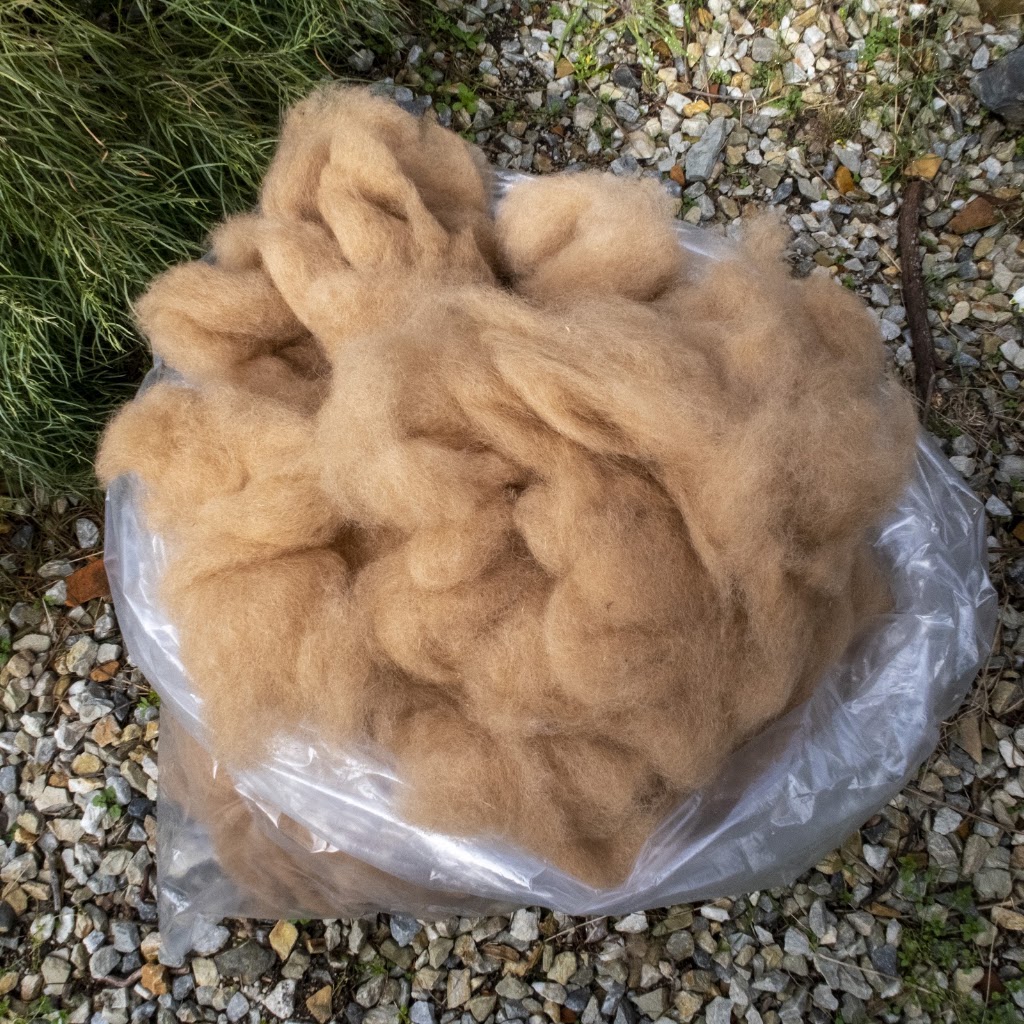 Tin Dragon Alpaca Fibre | 3 Coxs Ln, Branxholm TAS 7261, Australia | Phone: 0407 501 137