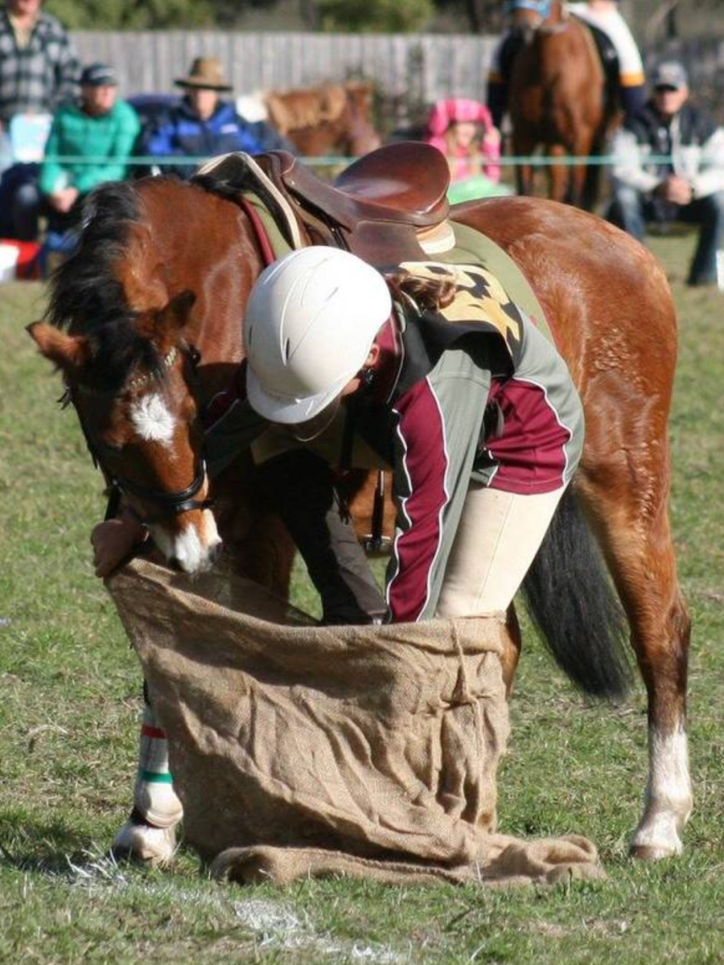 Tarwin Lower Pony Club |  | Recreation Reserve, Tarwin Lower VIC 3956, Australia | 0418591195 OR +61 418 591 195