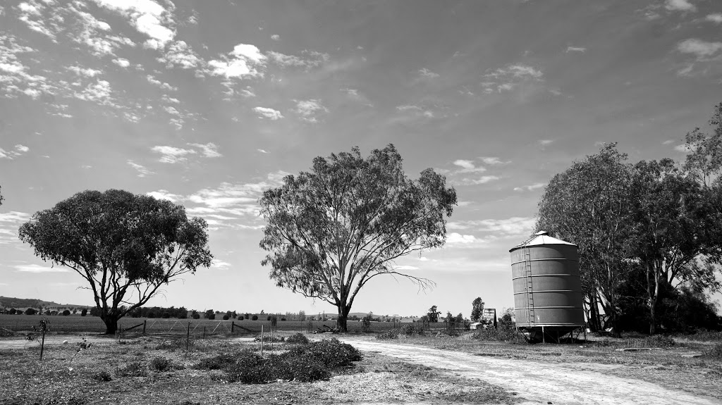 Hanericka Farmstay | lodging | Mcrories Rd & Adams Line, Yerong Creek NSW 2642, Australia | 0269203709 OR +61 2 6920 3709