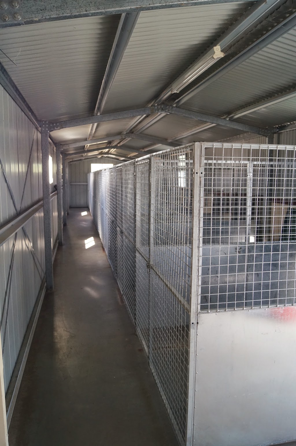 Castle Country Kennels | Canowindra, 1640 Bishopsbourne Rd, Longford TAS 7301, Australia | Phone: 0418 546 086