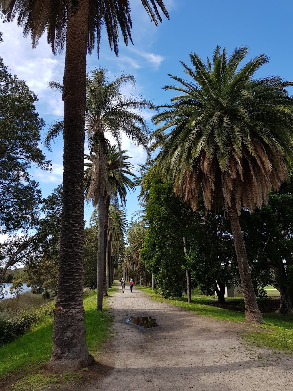 Centennial Park | park | 15 Locked Bag, Paddington NSW 2021, Australia | 0293396699 OR +61 2 9339 6699
