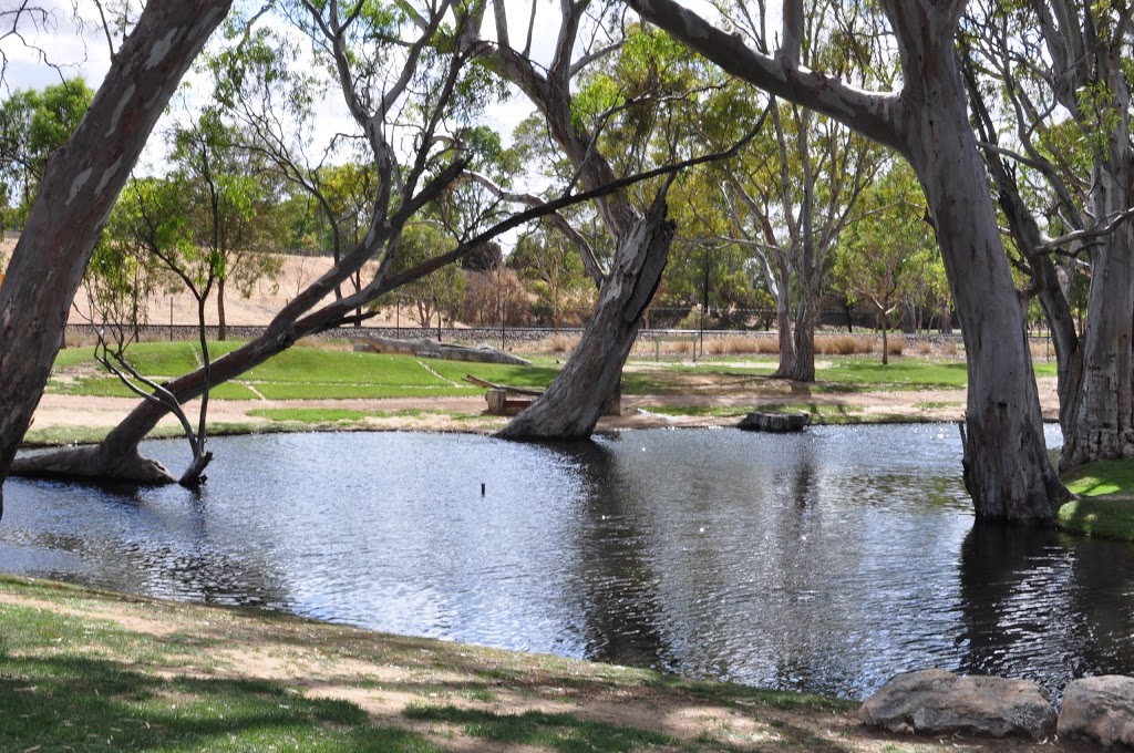 Bordertown Visitor Information Centre | 43 Woolshed St, Bordertown SA 5268, Australia | Phone: (08) 8752 1044