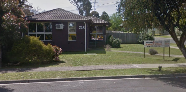 Melbourne Rabbit Clinic | 57 Austin St, Ferntree Gully VIC 3156, Australia | Phone: (03) 9758 8851