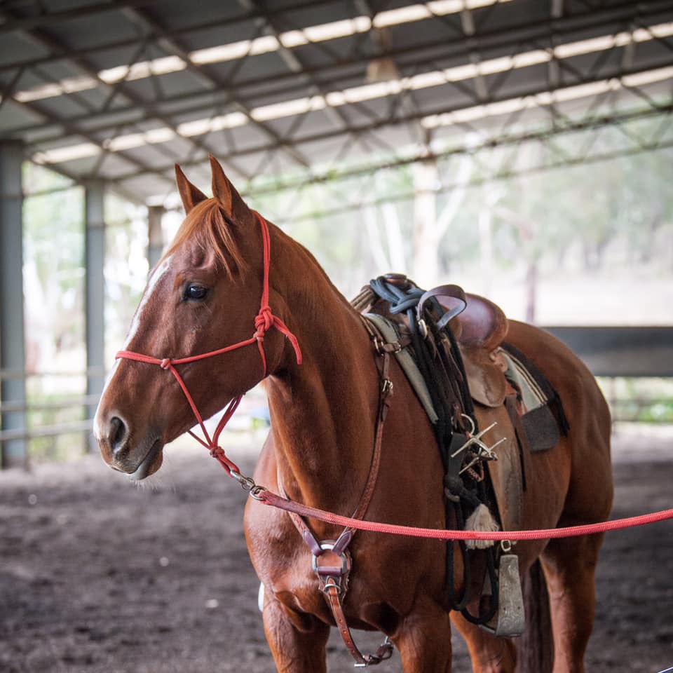 Jason McInnes Atomic Horsemanship | 35 Commercial Rd, Benalla VIC 3672, Australia | Phone: 0400 505 561 Jason McInnes Atomic Horsemanship | 35 Commercial Rd, Benalla VIC 3672, Australia | Phone: 0400 505 561