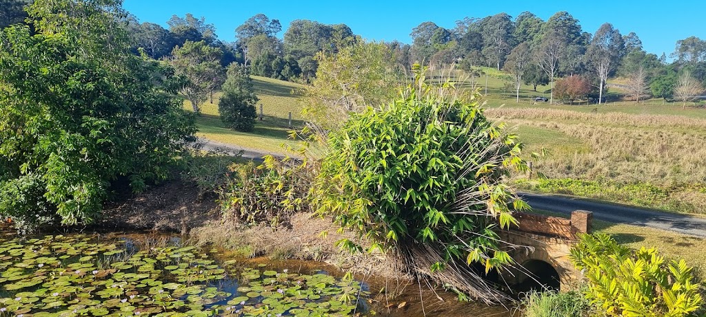 Lilypad Stay | 950 Rodeo Dr, Tewinga NSW 2449, Australia | Phone: 0414 475 085