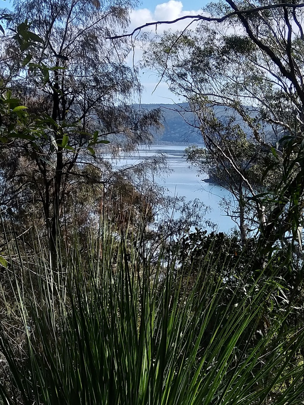 Kiparra Park Reserve Walking Track | 147 Riverview Ave, Dangar Island NSW 2083, Australia