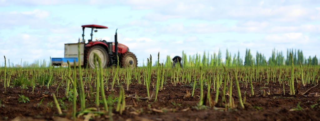 Mulyan Farm Cowra | N Logan Rd, Cowra NSW 2794, Australia | Phone: (02) 6342 1289