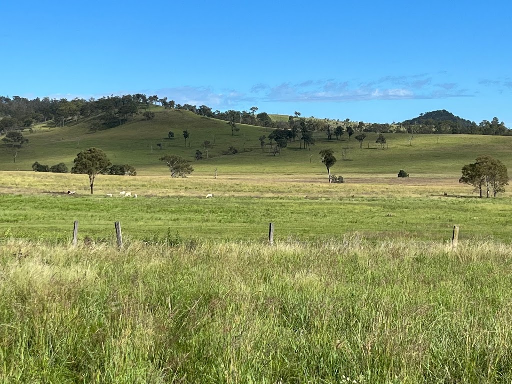 Esk Beef | IGA Esk, Biarra QLD 4313, Australia | Phone: 0417 714 285