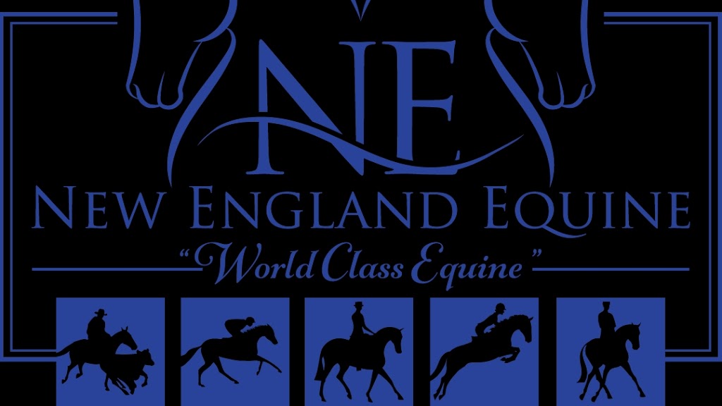 New England Equine | 1824 New England Hwy, Moonbi NSW 2353, Australia | Phone: 0439 991 523