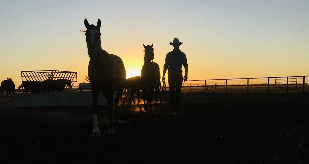 TMB Horsemanship |  | Springdale Rd, Nundubbermere QLD 4380, Australia | 0459653061 OR +61 459 653 061
