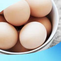 Casaccio Egg Farm in Terang | 80 Keilambete Rd, Terang VIC 3264, Australia | Phone: (03) 5592 1076