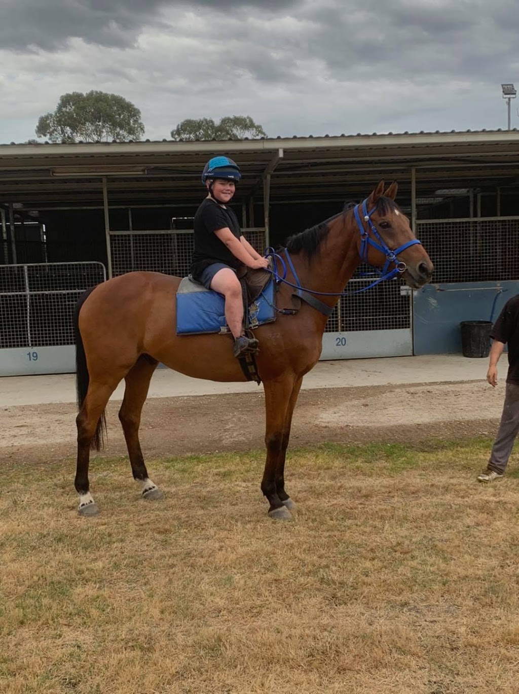 Swept By - Pre Training & Water Walking |  | 1370 Baxter-Tooradin Rd, Cannons Creek VIC 3977, Australia | 0409997134 OR +61 409 997 134