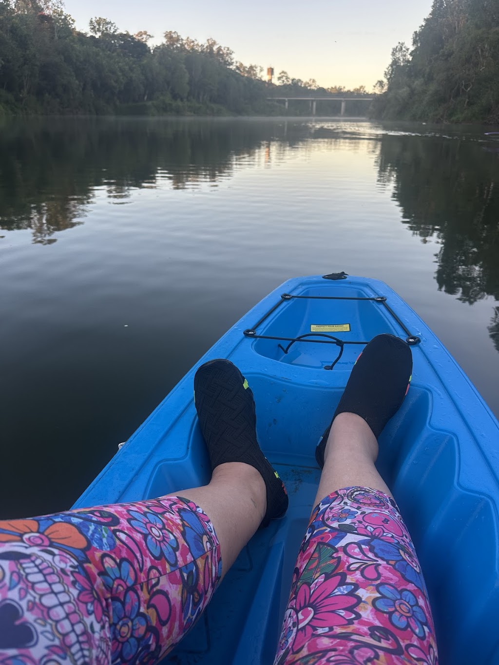 Platypus Adventures | 2270 Mackay Eungella Rd, Mirani QLD 4754, Australia | Phone: 0427 210 605