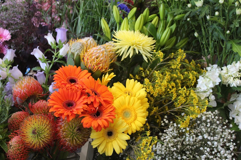 Abricot Florist in Mount Eliza | florist | 42 Mount Eliza Way, Mount Eliza VIC 3930, Australia | 0389008965 OR +61 3 8900 8965