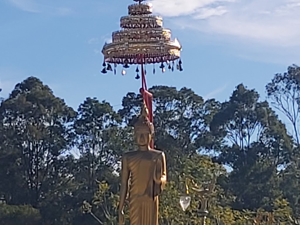 West Brisbane Termite Services | Moggill Rd, Indooroopilly QLD 4068, Australia | Phone: (07) 3802 0304