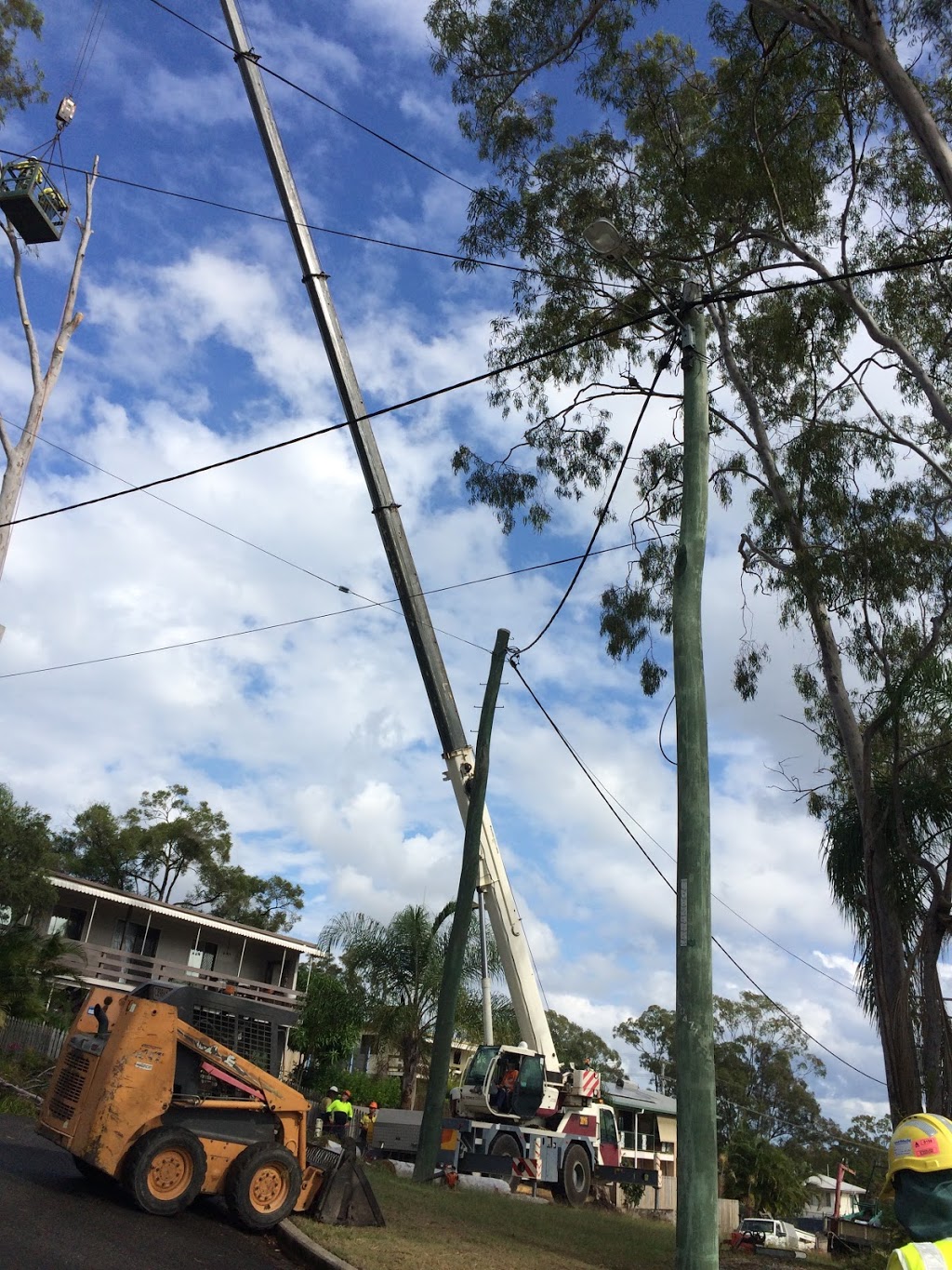 Candoo Tree Solutions | 48 Dawson Hwy, Calliope QLD 4680, Australia | Phone: (07) 4975 7970