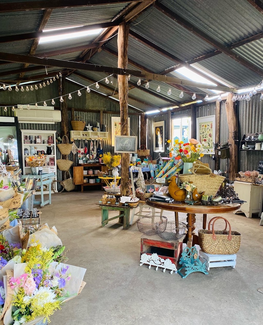 Elderflower Farm | 541 Kents Lagoon Rd, Kents Lagoon QLD 4310, Australia | Phone: 0427 345 528