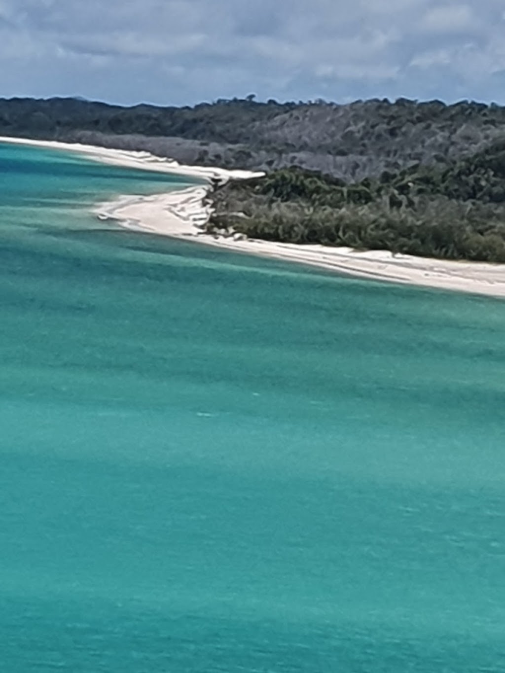 Whitsunday Coast Barramundi | 215 Dunrock Rd, Chelona QLD 4740, Australia | Phone: (07) 4959 5122