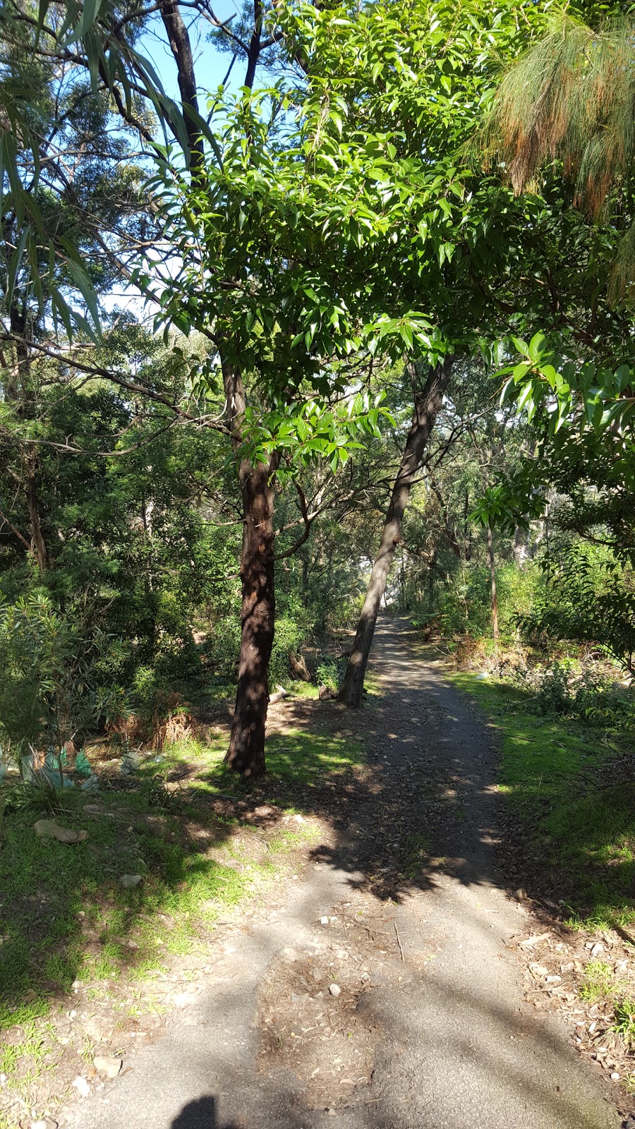 Adare Reserve | park | 12 Downpatrick Rd, Killarney Heights NSW 2087, Australia