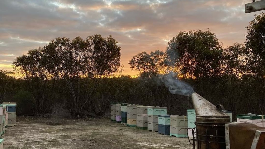 Southern Apiaries |  | 13 Redgum Trail, Marbelup WA 6330, Australia | 0466123461 OR +61 466 123 461