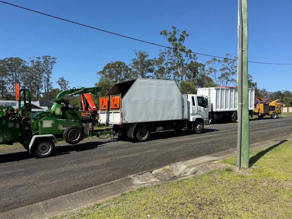 True Roots Trees & Landscapes | 5 Junction St, Mortdale NSW 2223, Australia | Phone: 0422 023 242