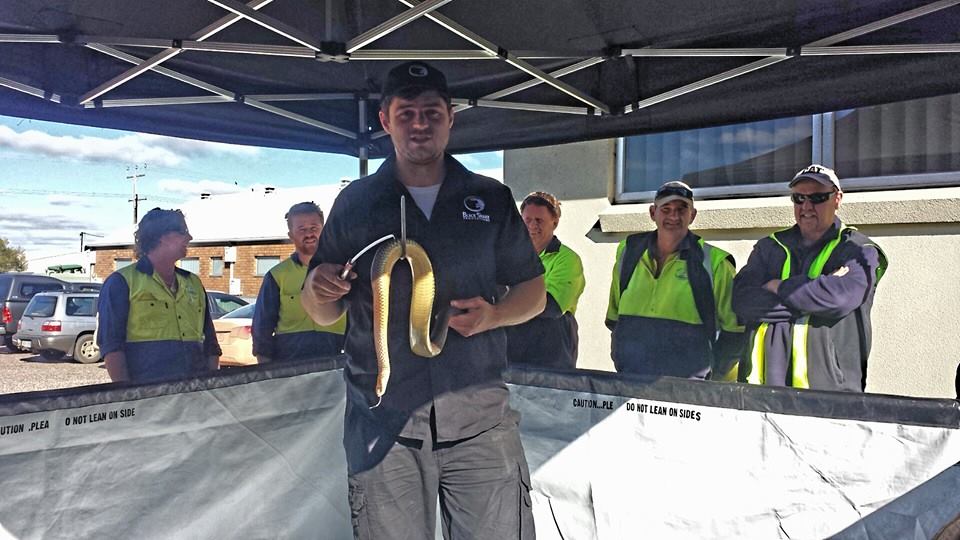 Snake safety |  | 3455-3457 Warburton Hwy, Warburton VIC 3799, Australia | 0432143228 OR +61 432 143 228