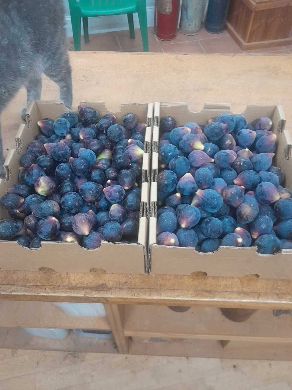 Smith & Sons Orchards | 67 Old Hume Hwy, Glenrowan VIC 3675, Australia | Phone: 0408 597 770