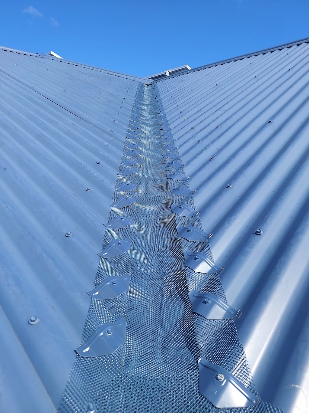 Eden Valley Pest Control | 1148 High Eden Rd, Flaxman Valley SA 5235, Australia | Phone: 0477 220 055